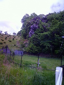 c0060919_1818313.jpg