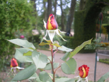 c0124619_2321853.jpg