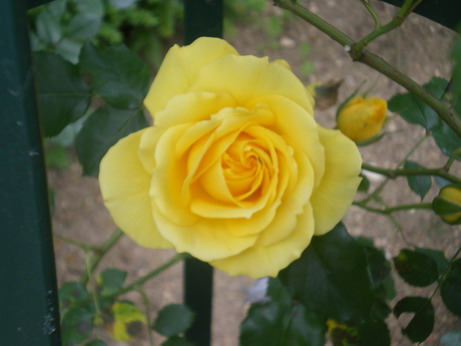 c0124619_2334896.jpg