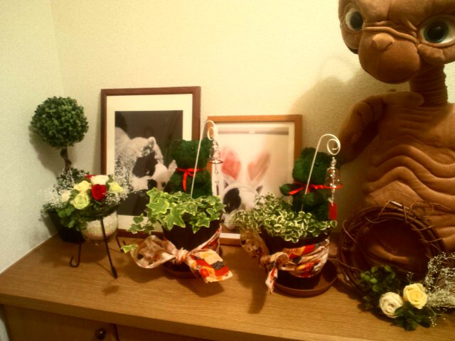 e0130321_0503286.jpg