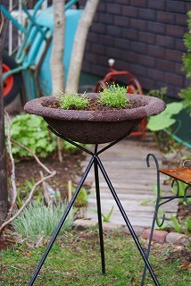 f0170524_17343134.jpg