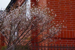 f0170524_17383981.jpg