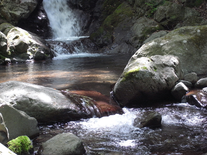 f0103126_20341520.jpg