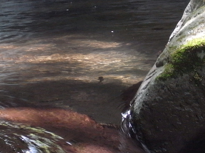f0103126_20343463.jpg