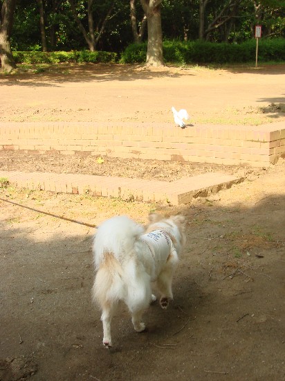 f0035927_15113710.jpg