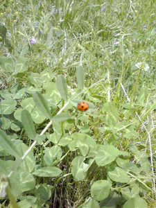 f0228030_2371619.jpg