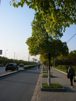 c0069036_14452028.jpg