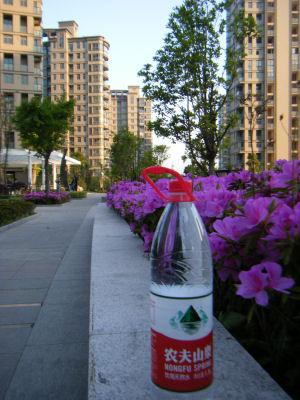 c0069036_14454462.jpg