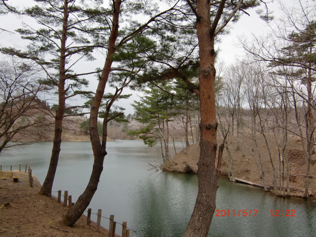 f0020336_20174129.jpg