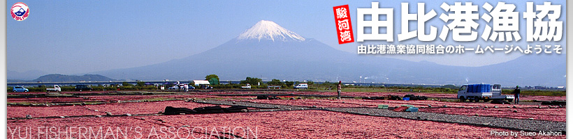 富士芝桜まつりに行ってきました。_e0185639_033424.jpg