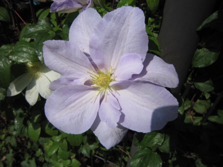 c0025140_22473747.jpg