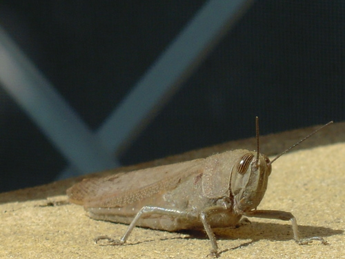 d0170140_144718.jpg