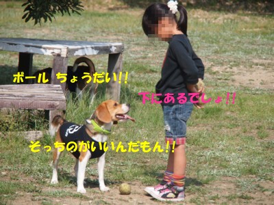c0119142_8265781.jpg