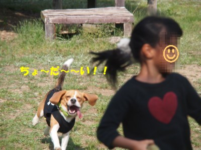 c0119142_8271510.jpg