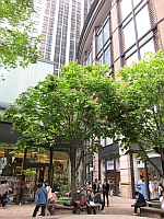 高校生レストラン 板前教師_e0080345_16574988.jpg