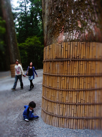 鳥羽旅行2日目~夫婦岩とお伊勢さん_d0227246_949284.jpg