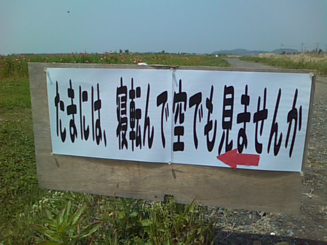 バラ&ポピー♪_b0115751_21303631.jpg