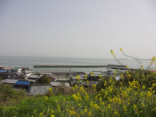 d0226154_1355546.jpg