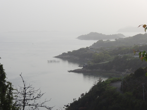 d0226154_1442830.jpg