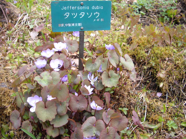 d0116059_21275878.jpg