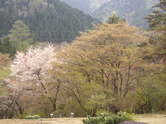 d0116059_21354411.jpg