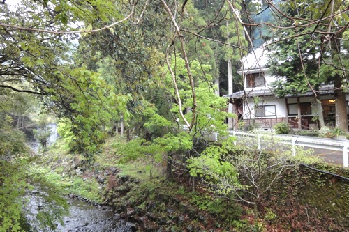 f0054859_20385592.jpg