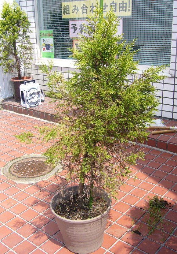 c0135361_1601414.jpg