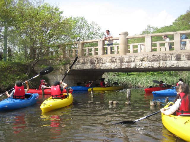 d0043161_23565583.jpg