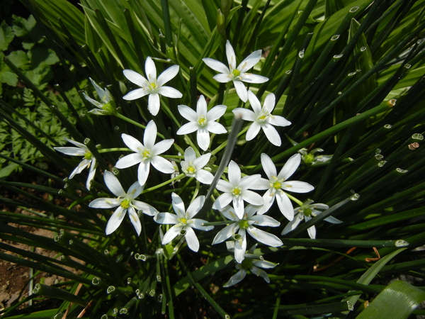 2011年5月8日(日)夏日で忙しかった日!_f0060461_222529.jpg