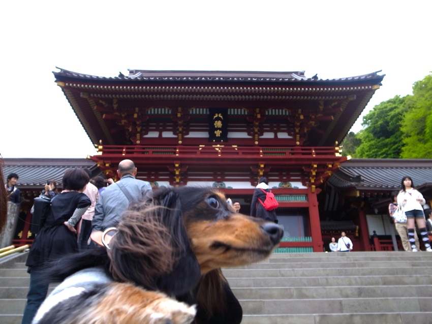f0179061_11153797.jpg