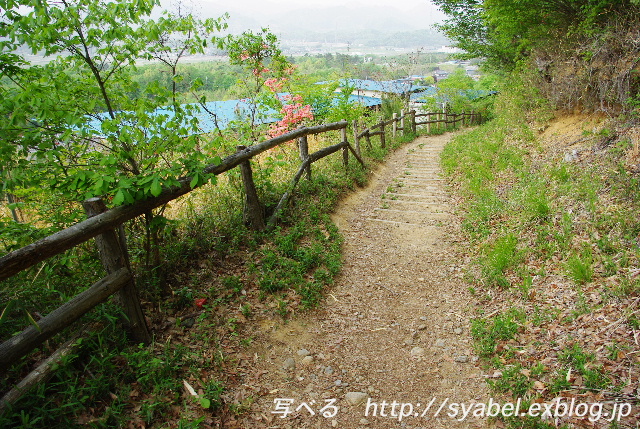 山道小径散歩道 #photo #sanpo _c0153764_9203327.jpg