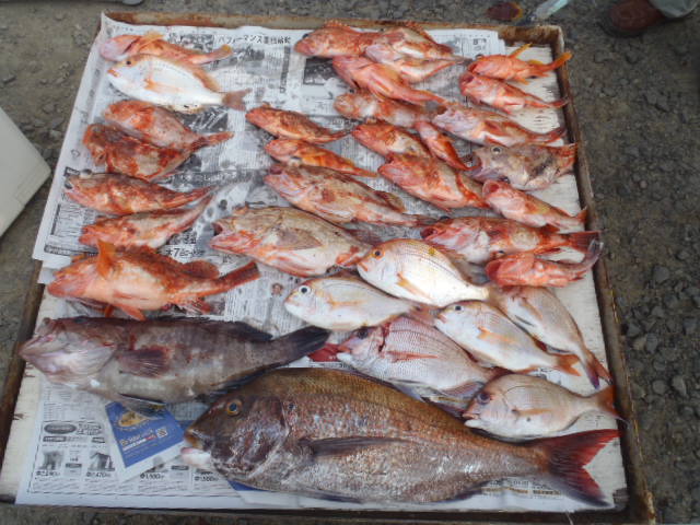 5月6日~8日までの釣果_a0077071_1793232.jpg
