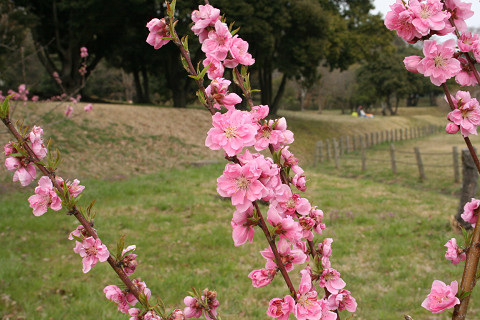 f0219373_13205275.jpg