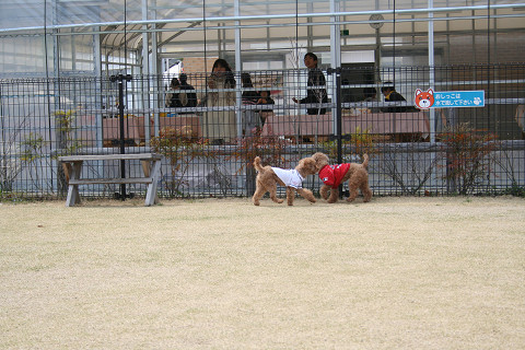 f0219373_13255068.jpg