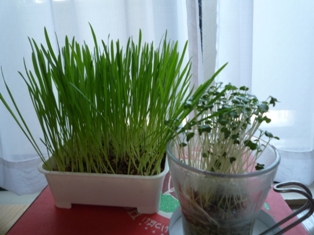f0219773_13194769.jpg