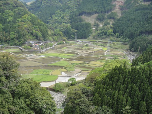 期待以上の目丸山（熊本県山都町）_d0182075_246462.jpg