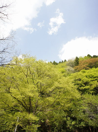 c0197578_003945.jpg