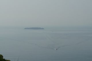 2011年5月8日 必需品_b0098584_914166.jpg