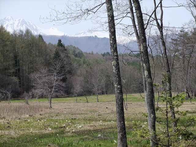 b0112186_17285235.jpg