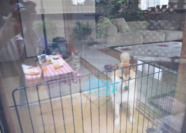 雨降りバーベキュー_a0126590_0521146.jpg
