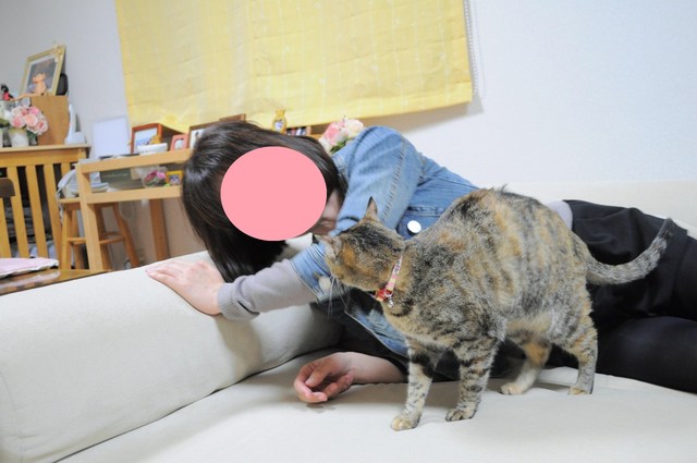 雨降りバーベキュー_a0126590_8201587.jpg