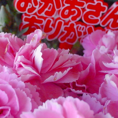 e0176993_13504967.jpg