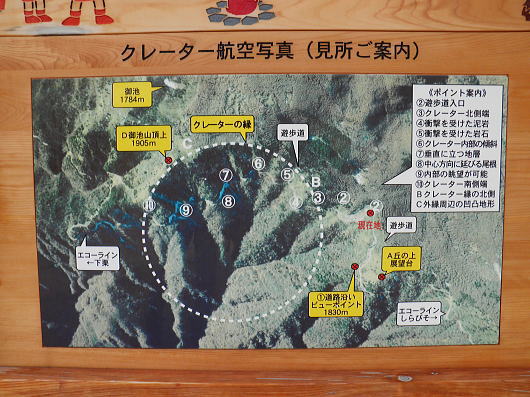 b0055202_21355587.jpg