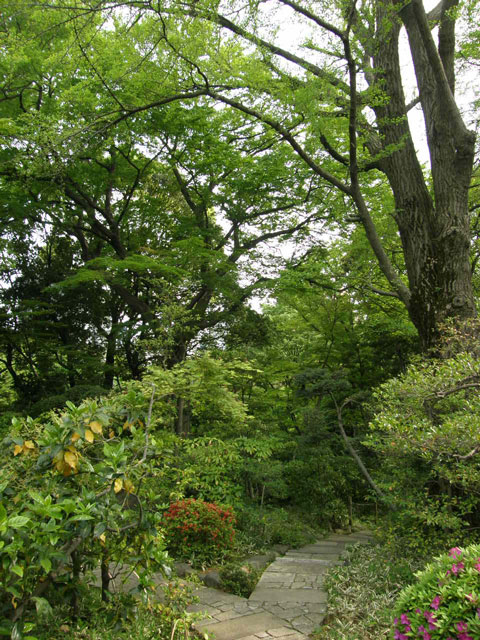 f0036603_19502877.jpg