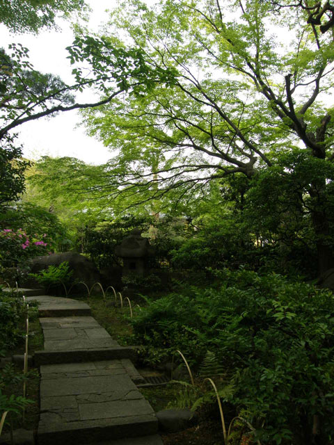 f0036603_19505394.jpg