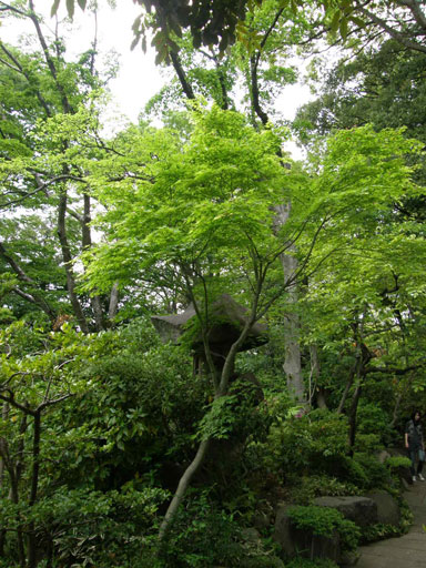 f0036603_19513069.jpg