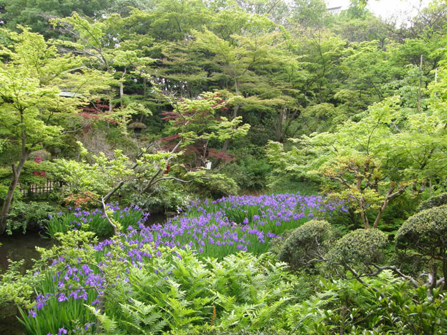 f0036603_1951512.jpg