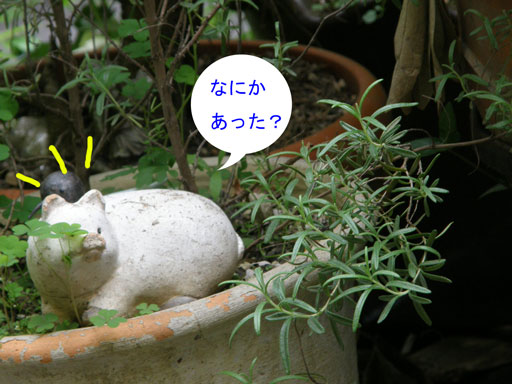 f0036603_19552329.jpg