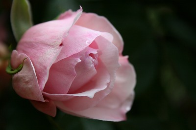b0199304_22561599.jpg