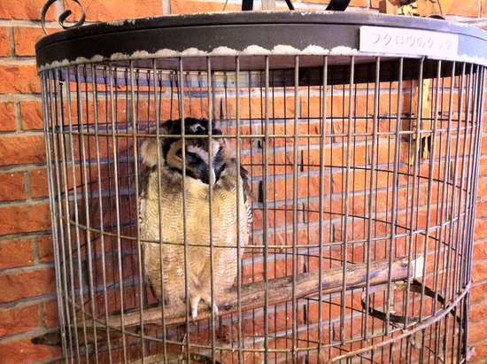 東京旅行〜藤城清治自宅スタジオ展 : トリメモ